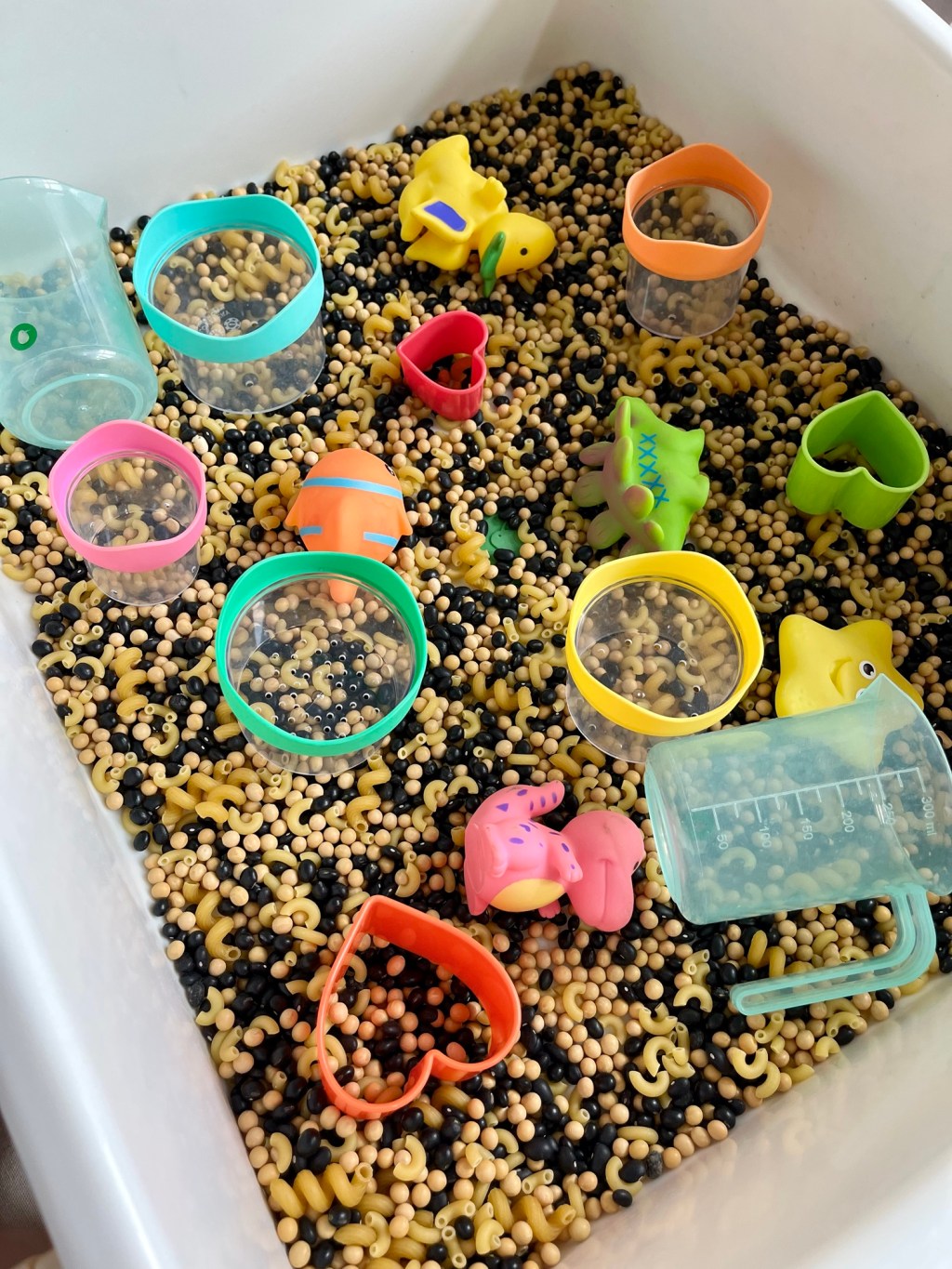Engage All Senses with the Perfect Sensory&nbsp;Bins