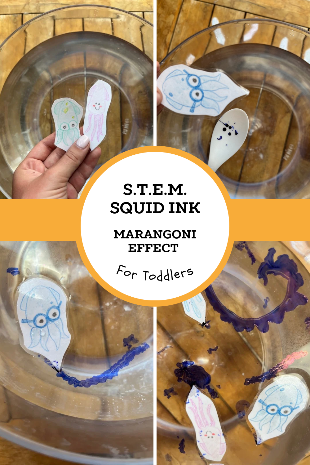 Surfing Squids and Dancing Ink STEM&nbsp;Experiment