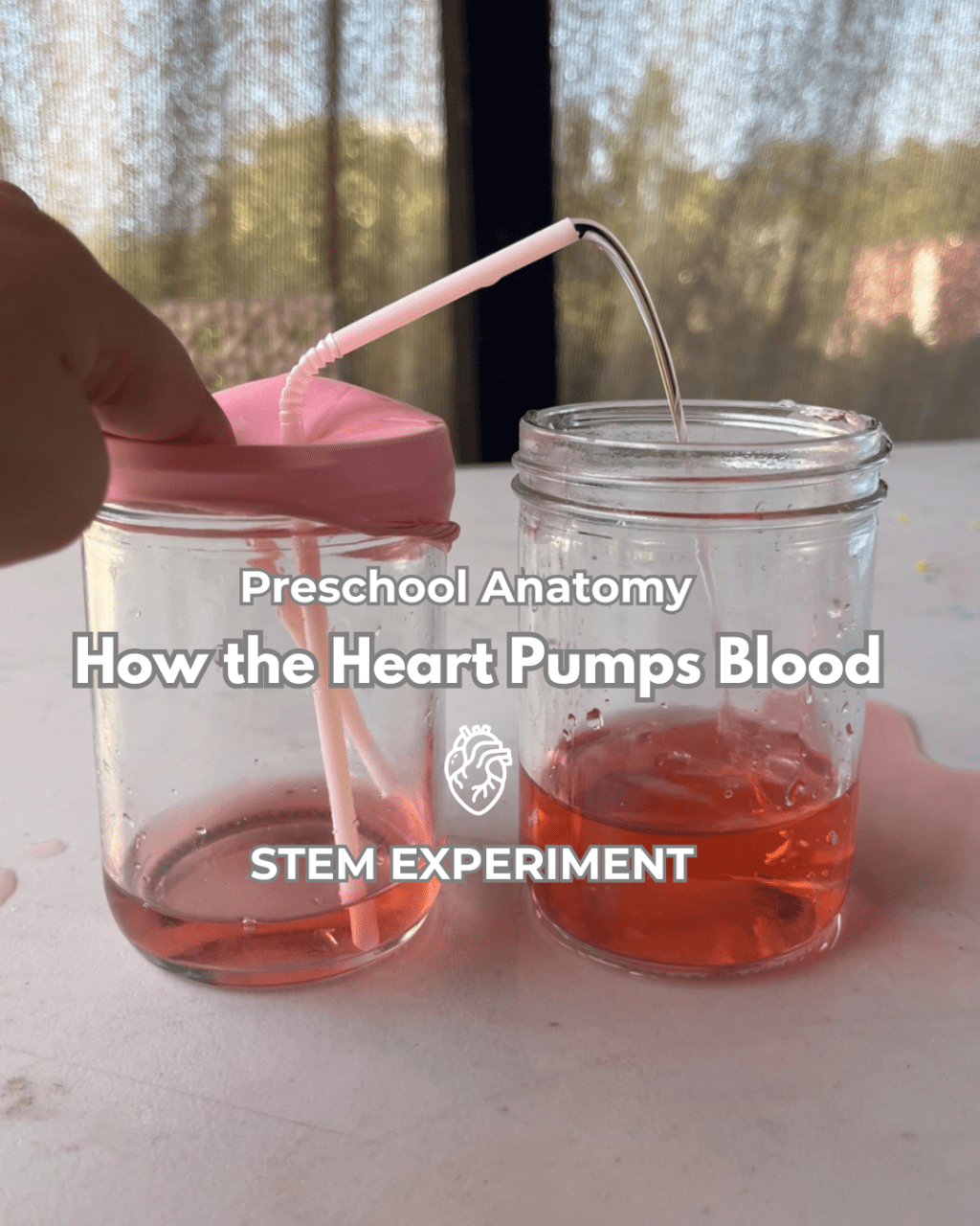 Teaching Toddlers and Preschoolers about the&nbsp;Heartbeat