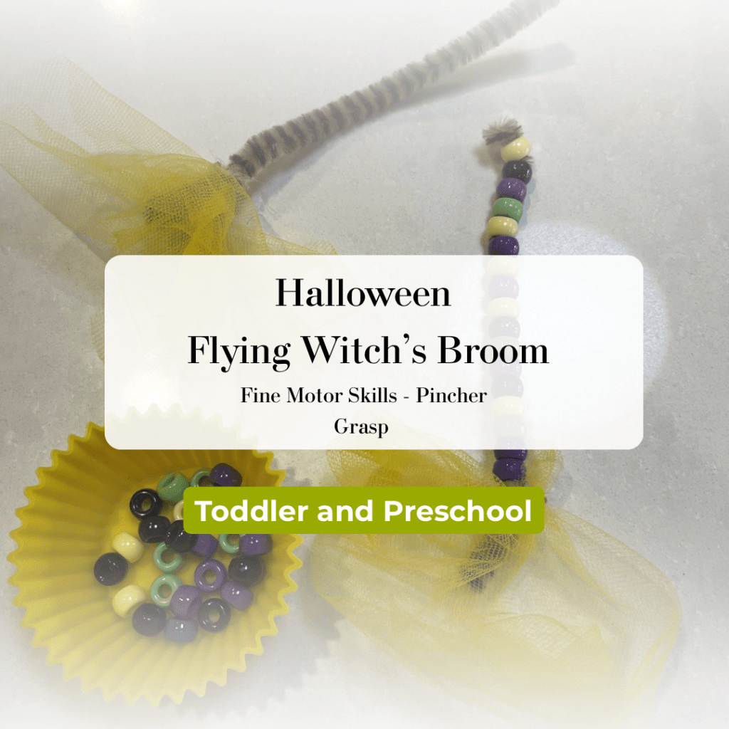 Flying Witch’s Broom